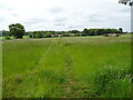 Grassland near Raithby by Spilsby in Raithby