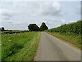 Minor road from Sausthorpe towards Raithby by Spilsby in Raithby