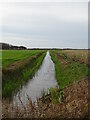 Drainage ditch by Holmes Road in NR29 4DZ