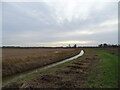 Path along drainage channel in NR29 4EE