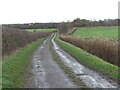 Public Bridleway near Burradon in NE27 0BQ