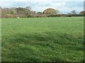 Farmland, Sharpley Heath in ST15 8SJ