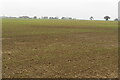Looking across a muddy field to Portway Farm in MK18 2GJ