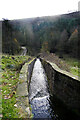 Outflow from the dam in Thorodale Wood in YO62 5LS