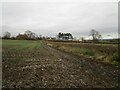 The Firs and Autumn sown field in NG24 2GL
