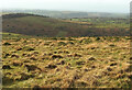 Towards the Erme valley in Harford