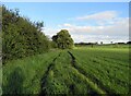 Footpath towards Grimston in LE14 3DA