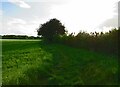 Footpath towards Old Dalby in LE14 3DA