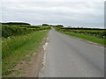 Minor road from South Thoresby towards the A16 in LN13 0AT