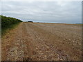Stubble field near Calceby in South Thoresby