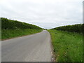 Minor road from South Thoresby towards the A16 in South Thoresby