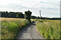 A narrow Suffolk lane in IP9 2PT