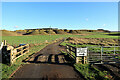 Cattle grid west of Broomhope in NE48 2HB