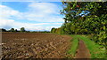 Back Lane, (path) east of Dereham in NR20 4AZ