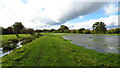 On Wensum Way - flooded water meadows by Penny Spot Beck in NR20 3EP