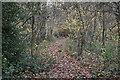 Path in Tatchbury Copse in SO4 2WE