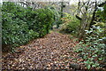 Leafy path toward Loperwood Lane in SO40 2RS