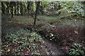 Mottsmill Stream (Bad Brook) in TN6 1UX