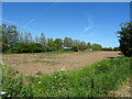 Field off Chapel Lane, Addlethorpe in Addlethorpe