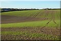 Farmland, St Goran in PL26 6EW