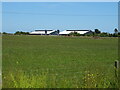 Farmland towards poultry houses in Orby