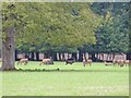 Deer - Bridwell Park in EX15 3FX