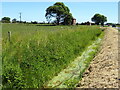 Drain beside Marsh Lane in Orby