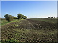 Dunsby Fen near Car Dyke Bridge in Dunsby