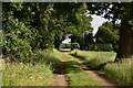 Bridleway to Cutler's Wood in IP9 2PT