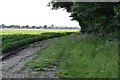 Bridleway to Potash Farm in IP9 2PT