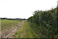 Bridleway along field boundary in IP9 1AQ