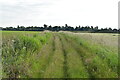Bridleway to Bond Hall Farm in IP9 1AQ