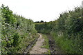 Track to Bond Hall Farm in IP9 1AQ