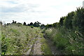 Bond Hall Farm track in IP9 1AQ
