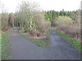 Converging Paths, Rising Sun Country Park in NE12 9SQ