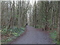 Footpath, Rising Sun Country Park in NE12 9SQ