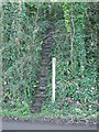 A steep path by Grove Farm in BS41 8JA