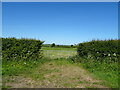 Field entrance off Tothby Lane in Rigsby with Ailby