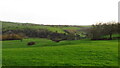 Field leading down to Coldwall Bridge, Dove Valley in DE6 2BS