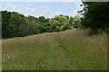 Footpath across a grassy meadow in TN20 6UB