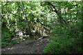 Footbridge in the woods in TN20 6UB