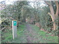 Footpath in Ughill Wood in S6 6HR