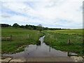 Drain into River Bain, Biscathorpe in Gayton Le Wold