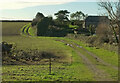 Farm track, Alston Farm in TQ7 2QF