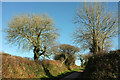 Lane from Aston Farm in TQ7 2QF