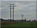 Telegraph poles by the track to Crookford Farm in DN22 8BT