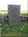 Tollbar stone in DD11 4QH