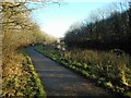 Towpath, Forth and Clyde Canal in G64 3JH