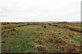 Wide, banked trackway south-west of Pitland Hills in NE48 3HP