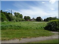 Grassland off Main Road, Benniworth in Benniworth